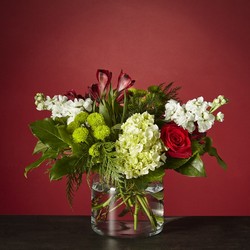 Winter Bright Bouquet -A local Pittsburgh florist for flowers in Pittsburgh. PA